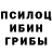 Галлюциногенные грибы прущие грибы Vflerij Roll