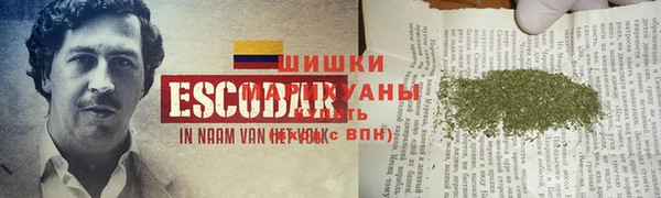 сатива Алексеевка