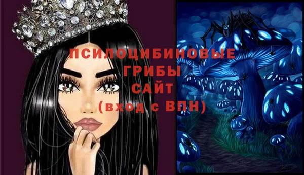 ПСИЛОЦИБИНОВЫЕ ГРИБЫ Алексин
