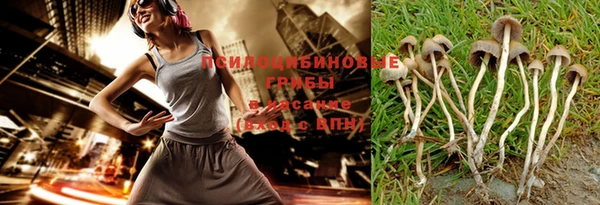 ПСИЛОЦИБИНОВЫЕ ГРИБЫ Алексин