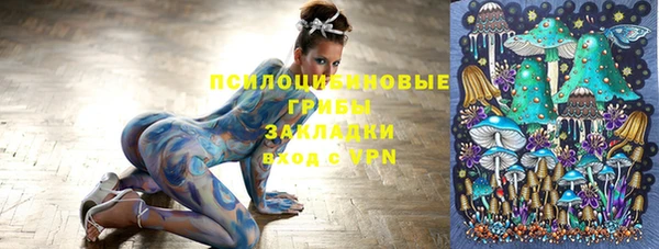 ПСИЛОЦИБИНОВЫЕ ГРИБЫ Алексин