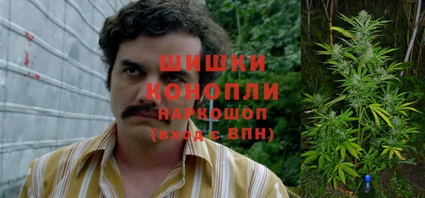 сатива Алексеевка