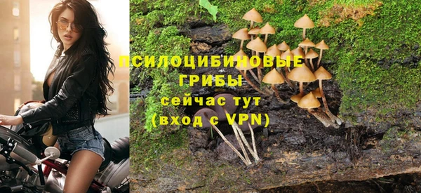 2c-b Алзамай