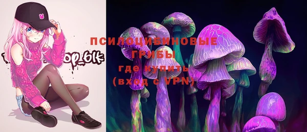ПСИЛОЦИБИНОВЫЕ ГРИБЫ Алексин