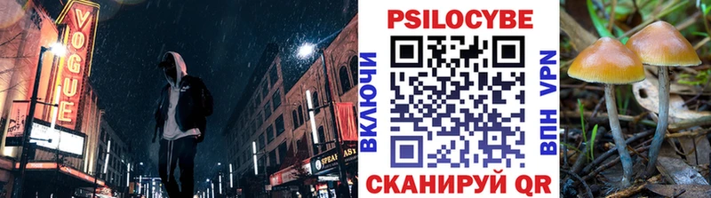 МЕГА сайт  Лесной  маркетплейс как зайти  Галлюциногенные грибы Psilocybe 