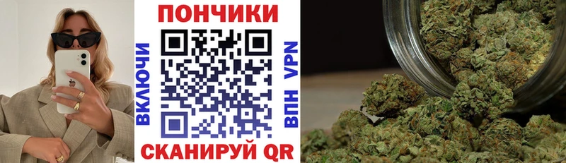 Канабис сатива  Лесной 